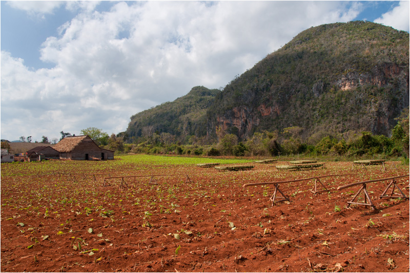 Viñales #2