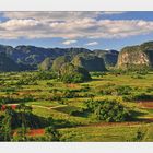 viñales