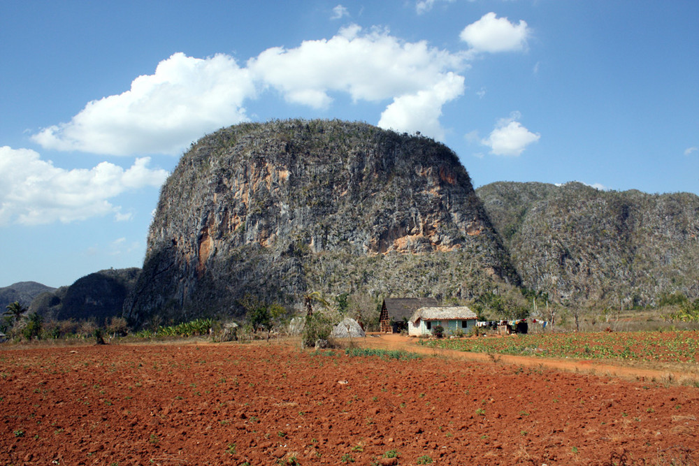 Viñales