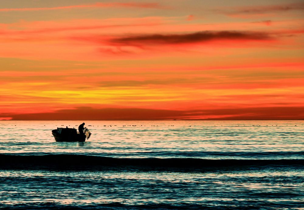 Viareggio