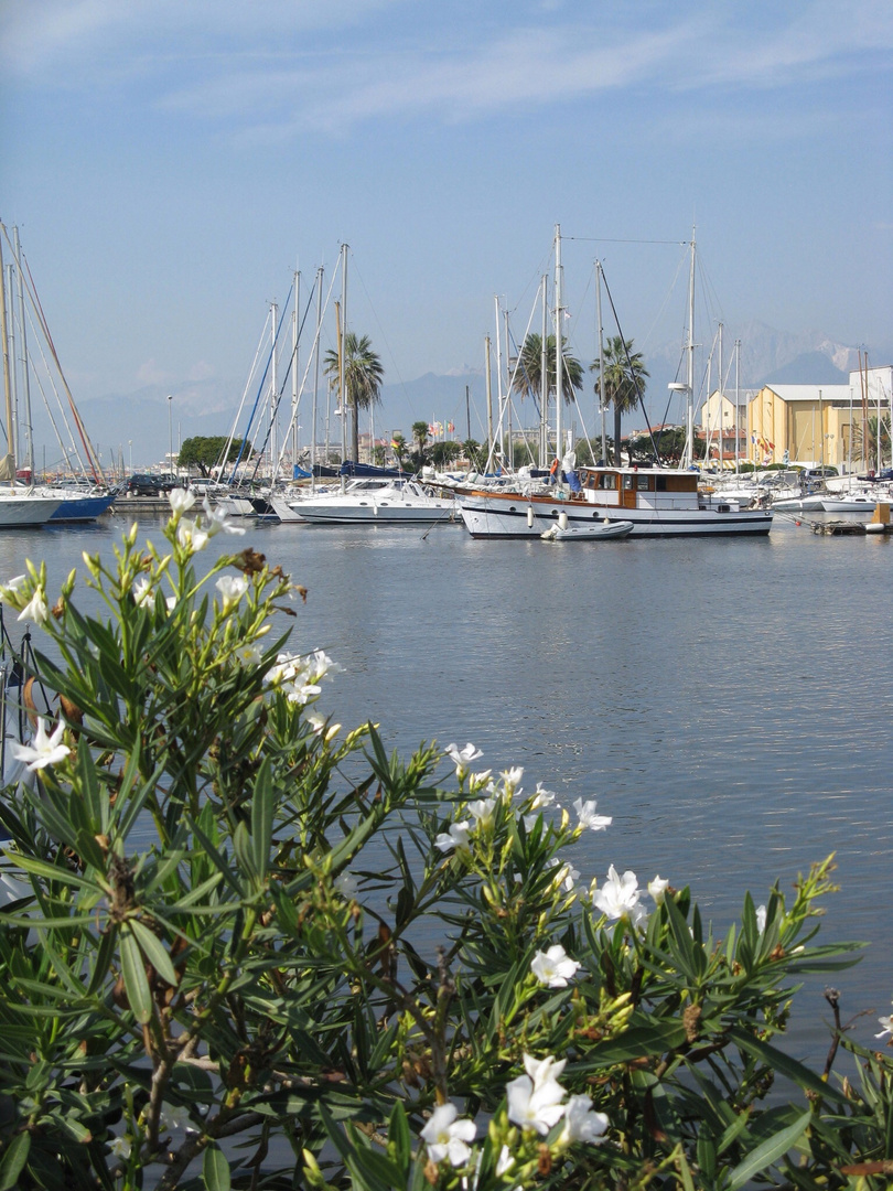 Viareggio