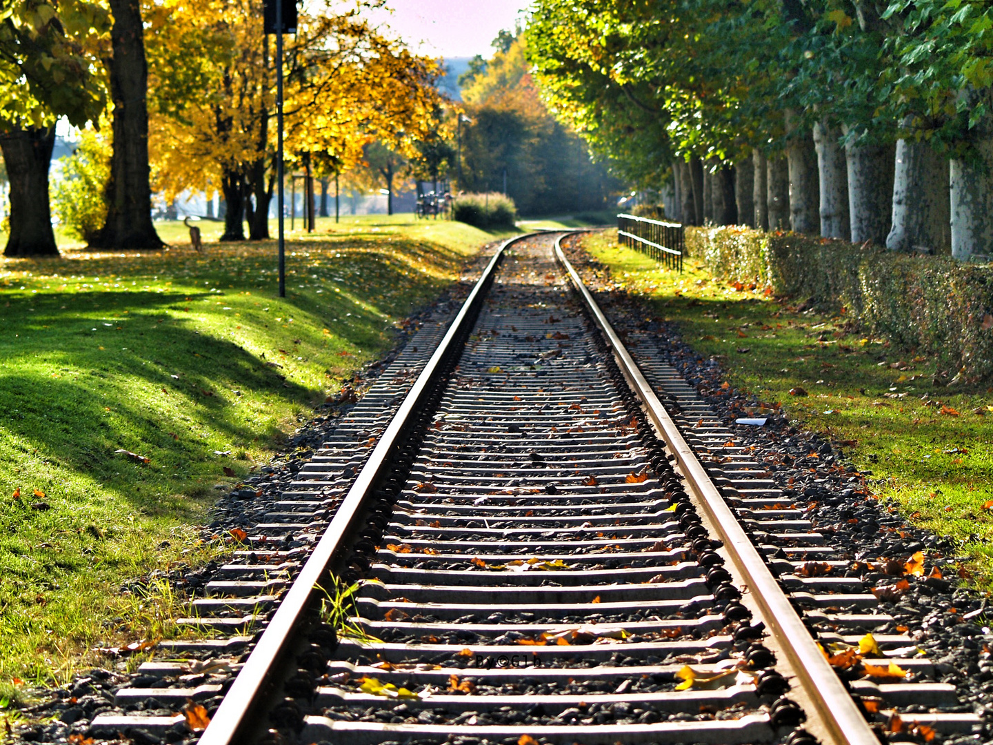 Vías de Tren