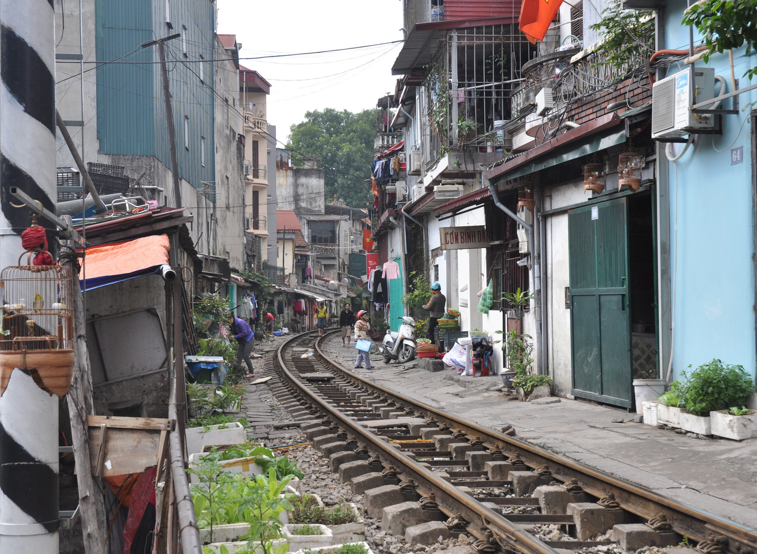 Vias del tren