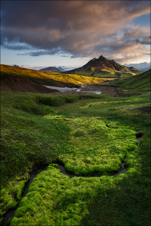 [ ... vibrant green ]