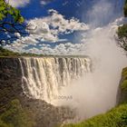 VIC FALLS