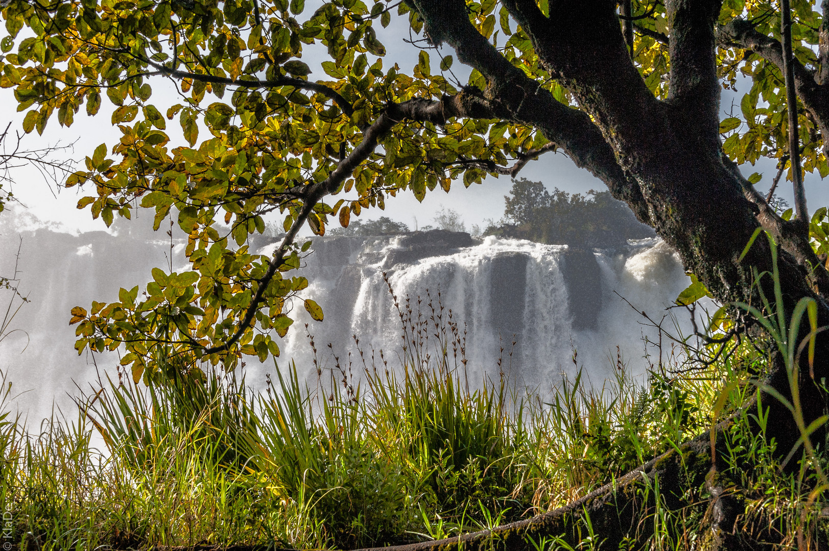 Vic Falls - Blick aus dem Regenwald auf den Eastern Cataract