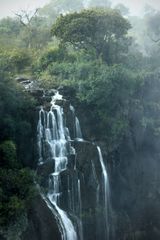 Vic Falls - Detail