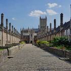 Vicar's Close Wells