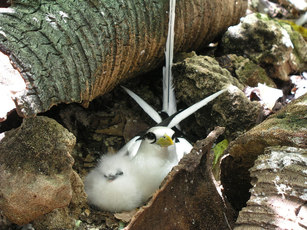 Vicino alla mamma