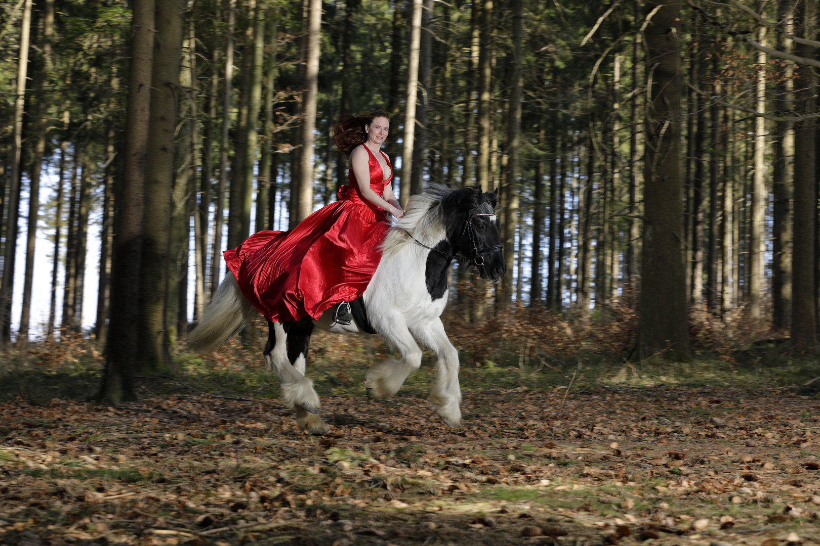 Vicky_RotKLEIDCHEN reitet geschwind durch den Wald !