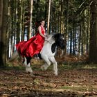 Vicky_RotKLEIDCHEN reitet geschwind durch den Wald !