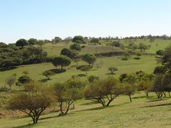 VICTORIA ENTRE RIOS TODOS LOS VERDES