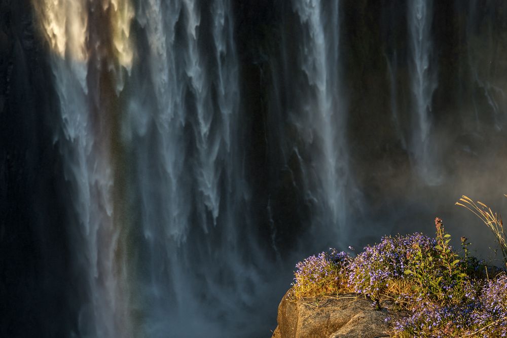 Victoria Falls