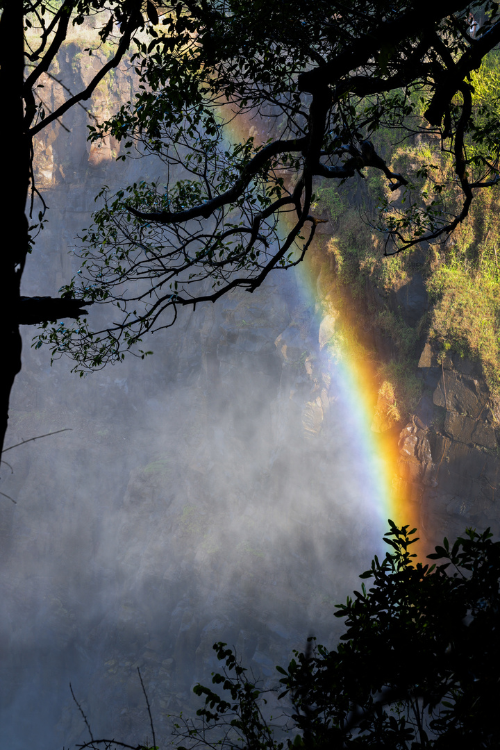 Victoria Falls - Regenbogen am Abend