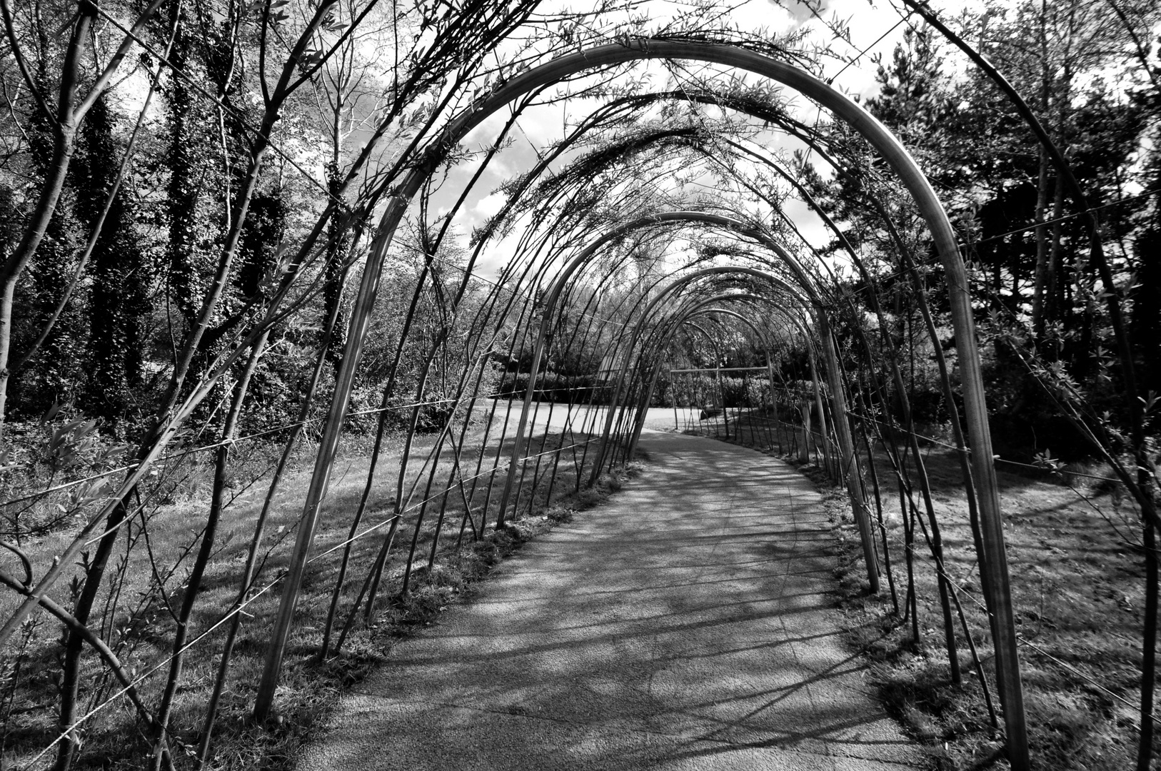 Victoria Park - Belfast