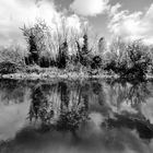 Victoria Park - Belfast