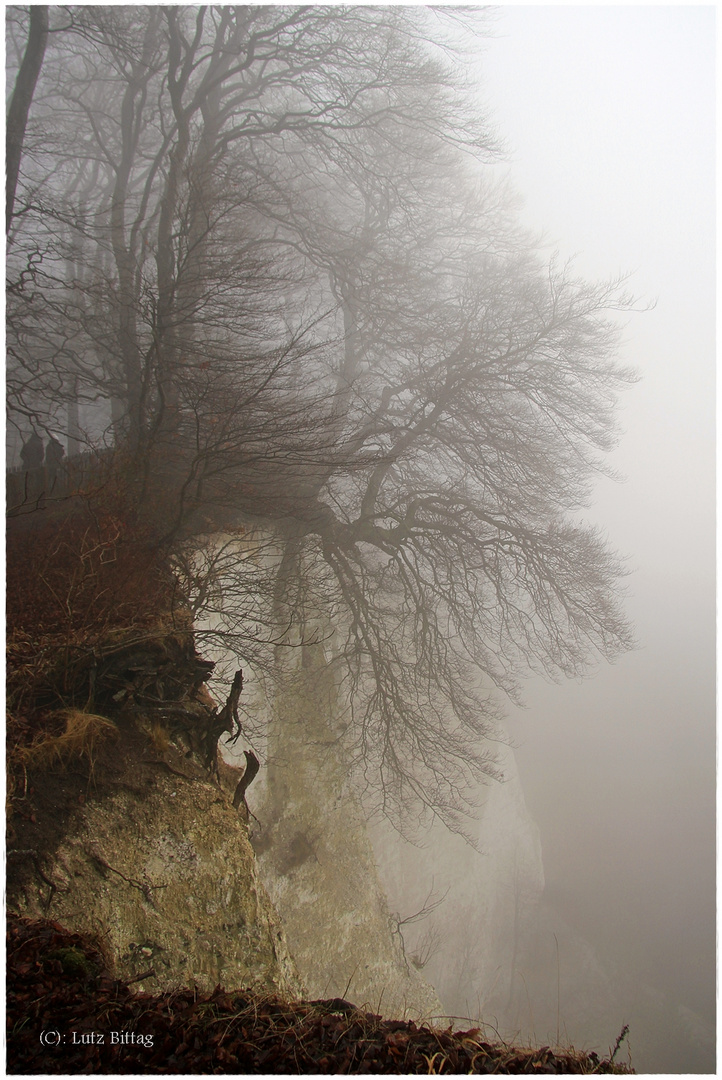 Victoria-Sicht am Königsstuhl