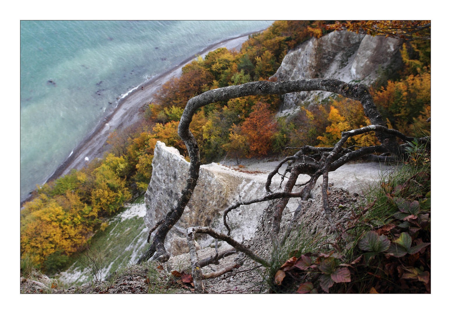 Victoria-Sicht im Herbst