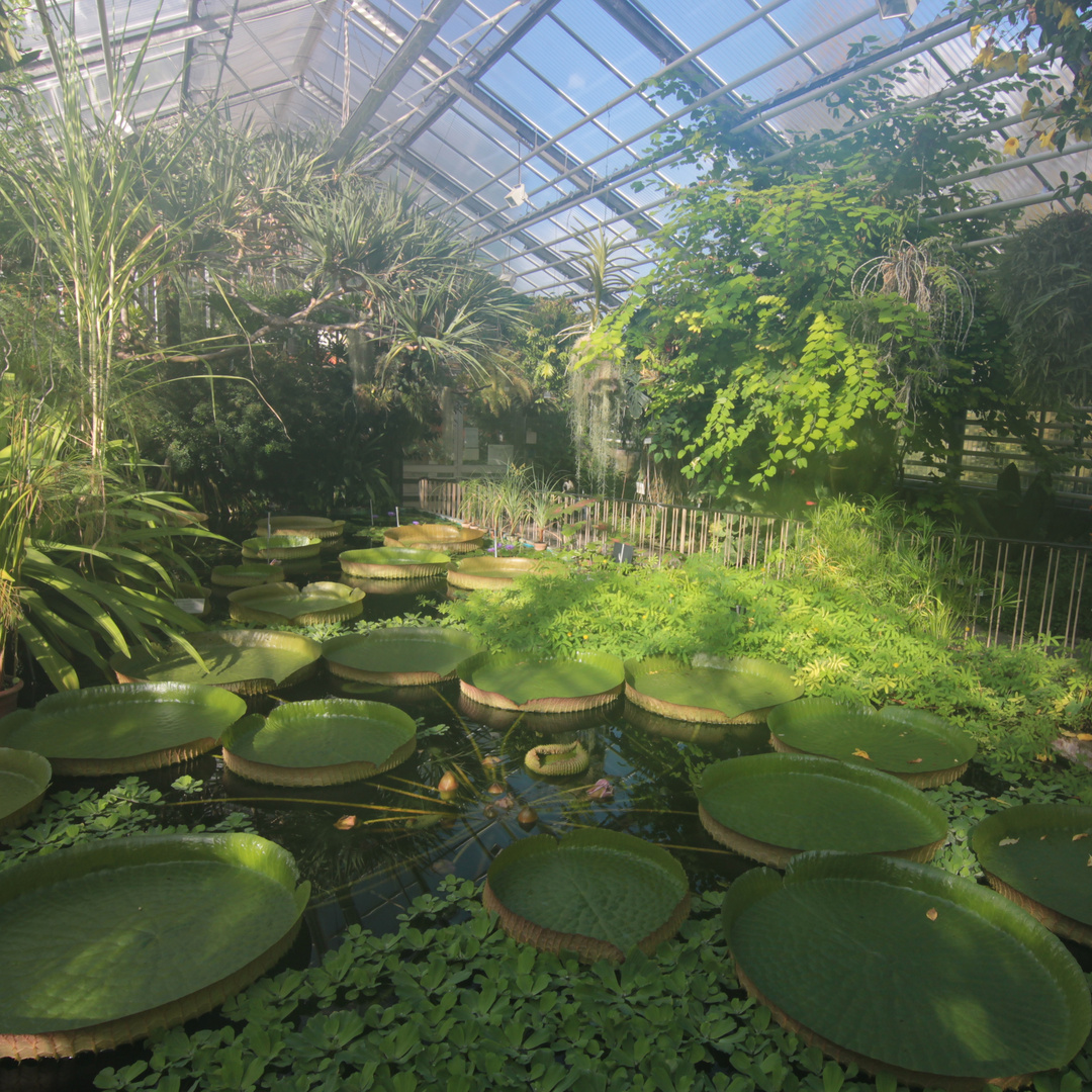 Victoriahaus im Botanischen Garten der Universitätsstadt Jena