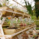 Victorian Walled Garden