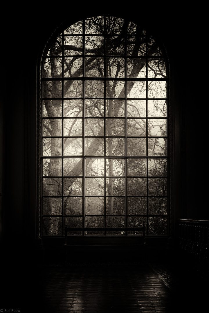 Victorian Window