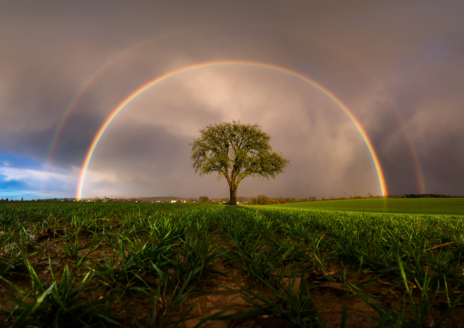 Victoria's Regenbogen