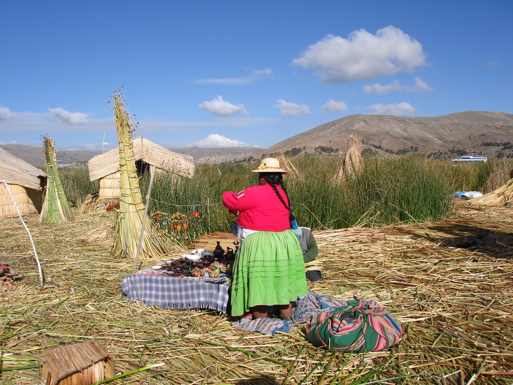 vida palustre