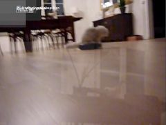 Video: Eilmeldung!!! (Profil lesen)