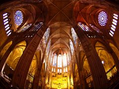 VIDRIERAS DE LA CATEDRAL DE LEON I .