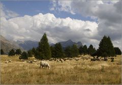 Vie à la montagne