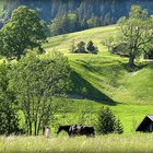 vie paisible à la montagne....