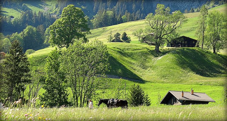 vie paisible à la montagne....