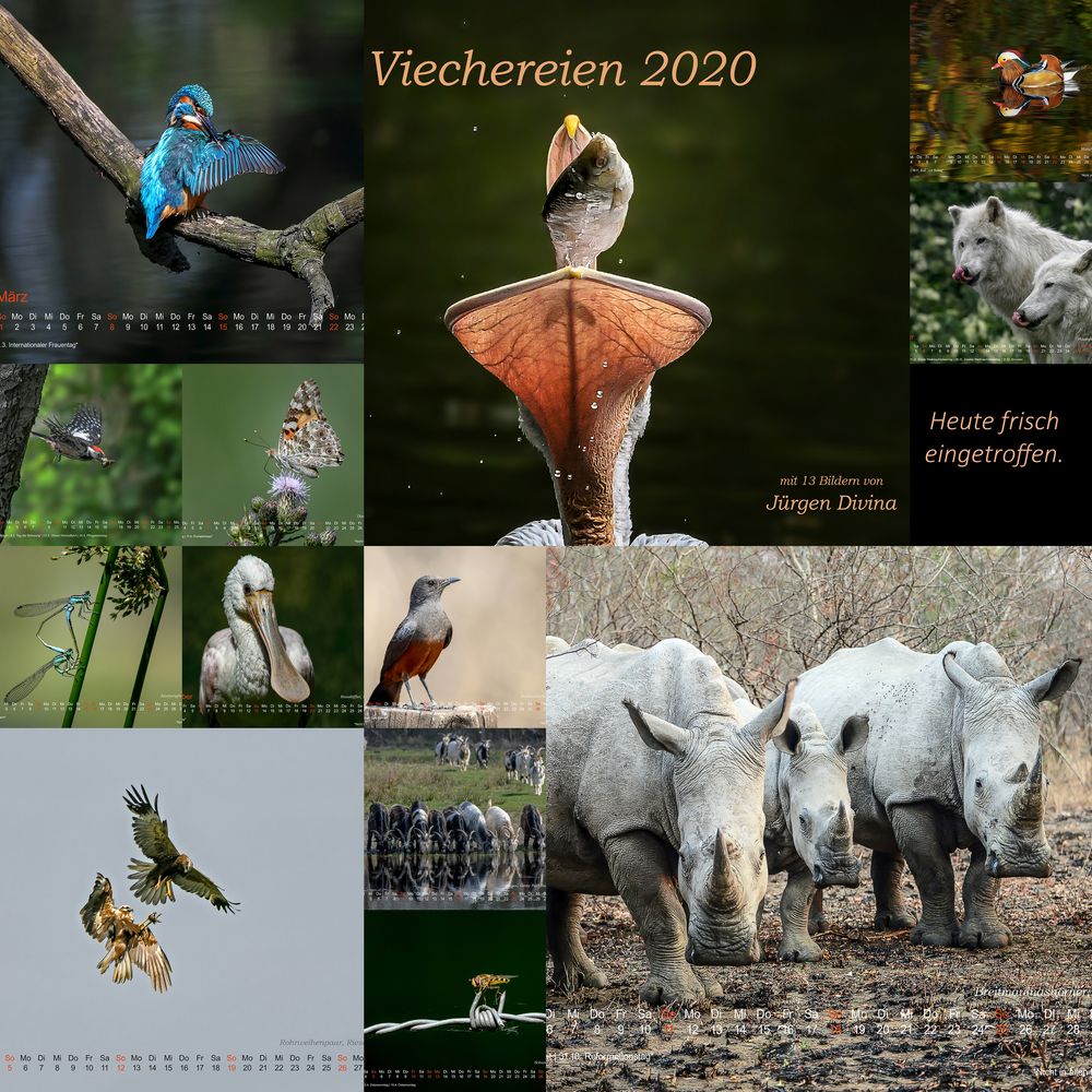 Viechereien 2020