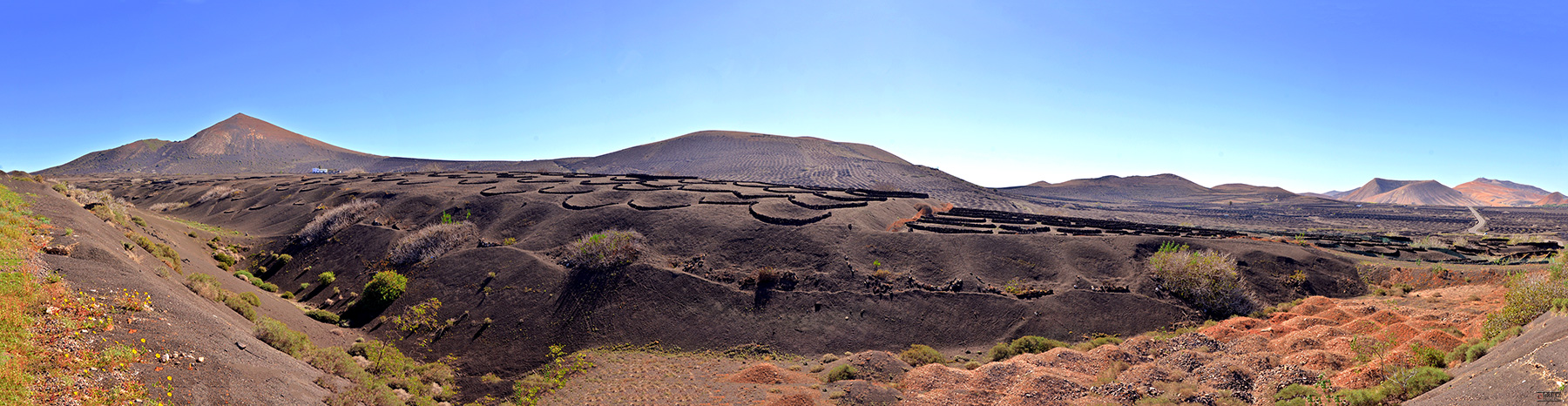 Viñedos en Lanzarote