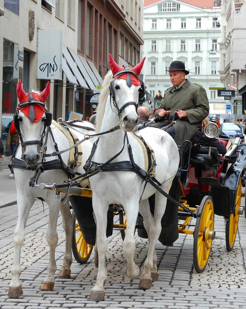 Viehacker in Wien Mai 2015