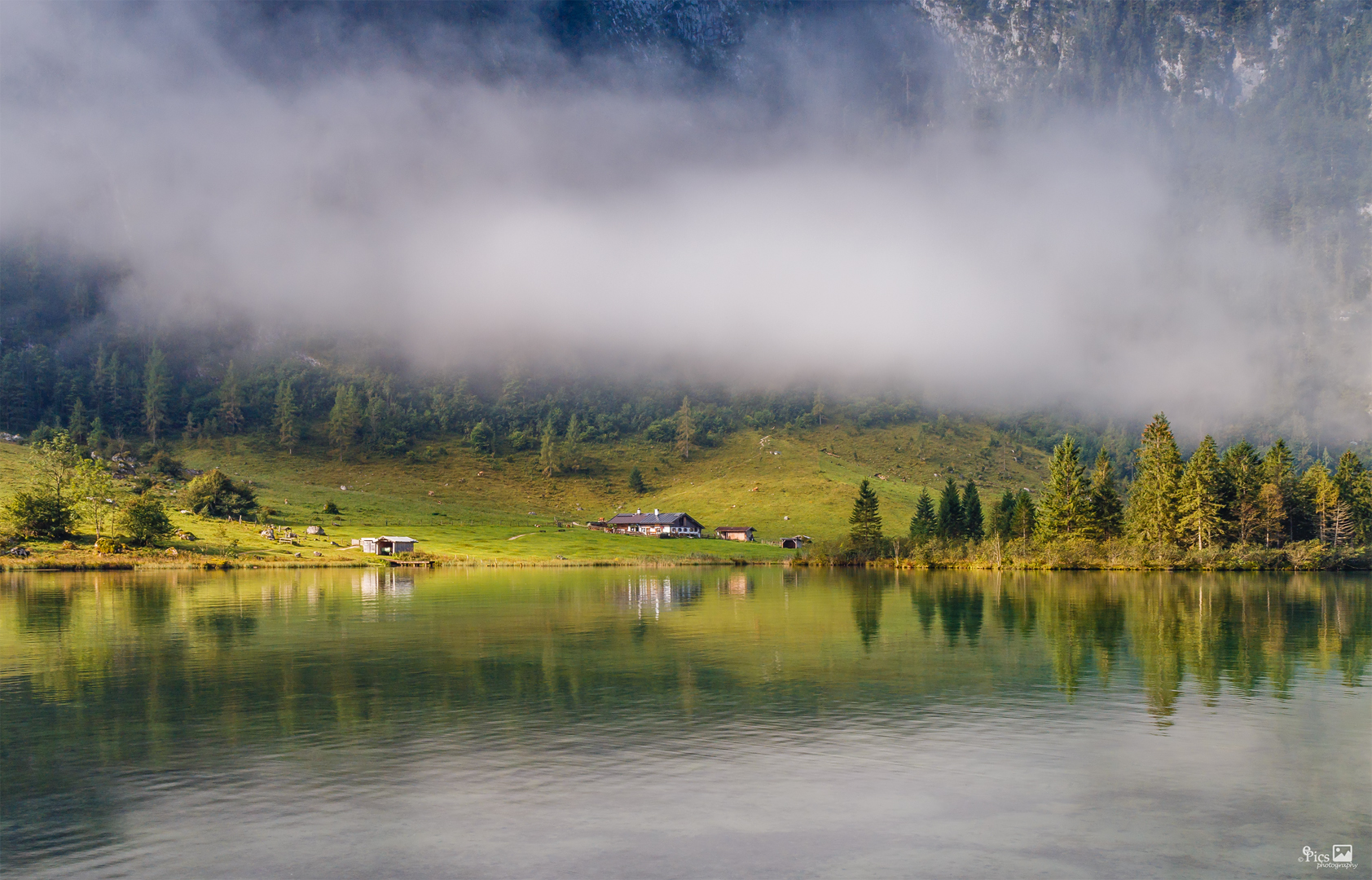 Viehhaltung am Königssee - Bayern519