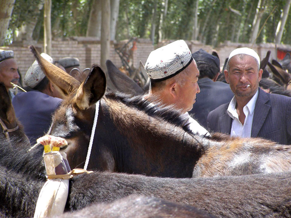 Viehmarkt in Kashgar