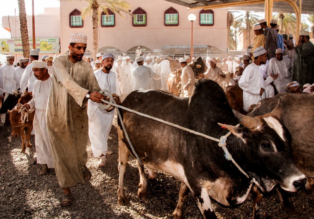 Viehmarkt in Nizwa