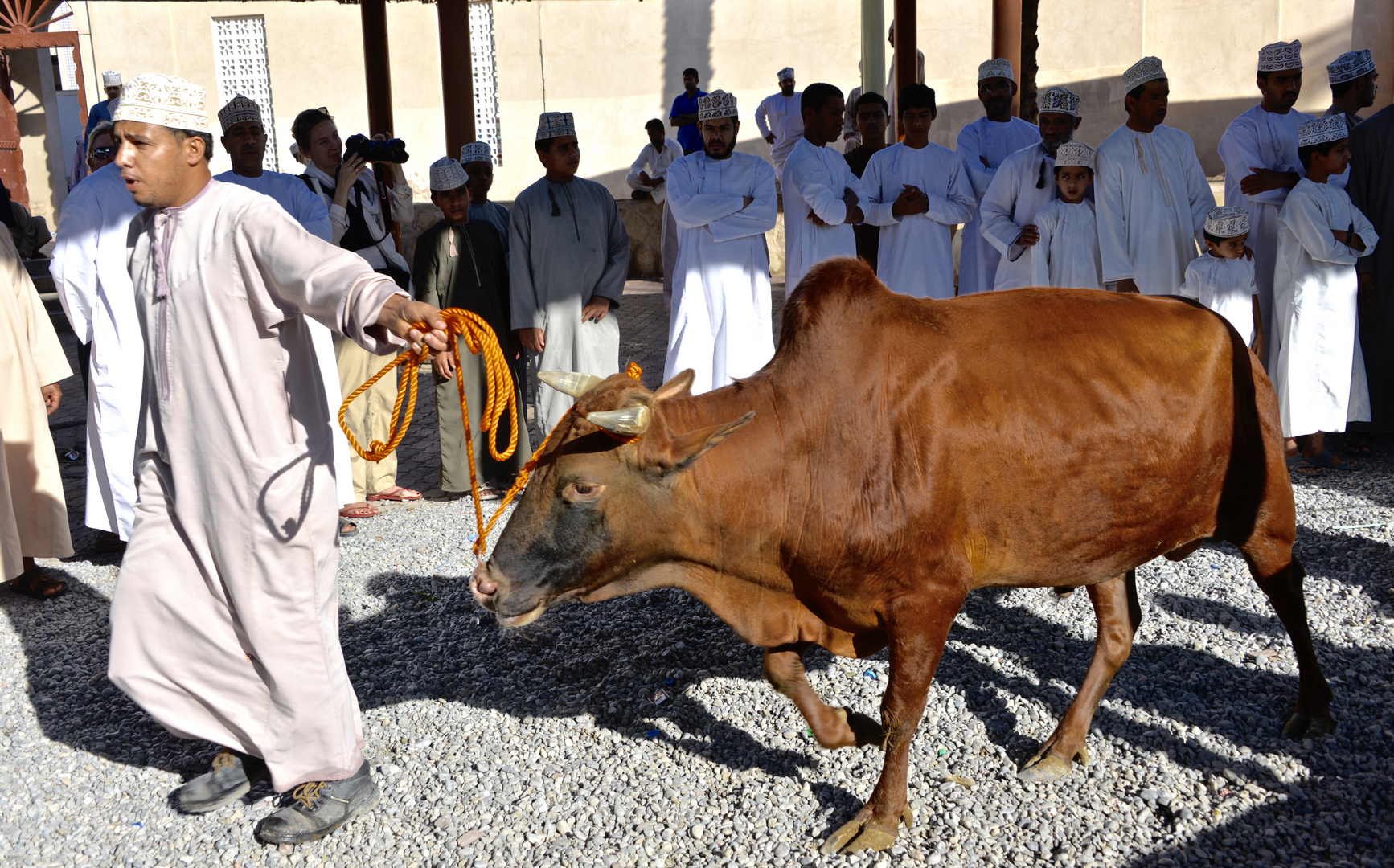 "Viehmarkt in Nizwa"