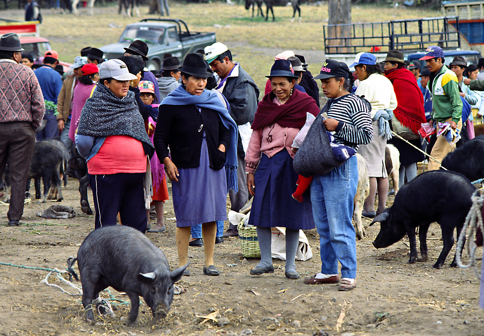 Viehmarkt in Otavalo 01