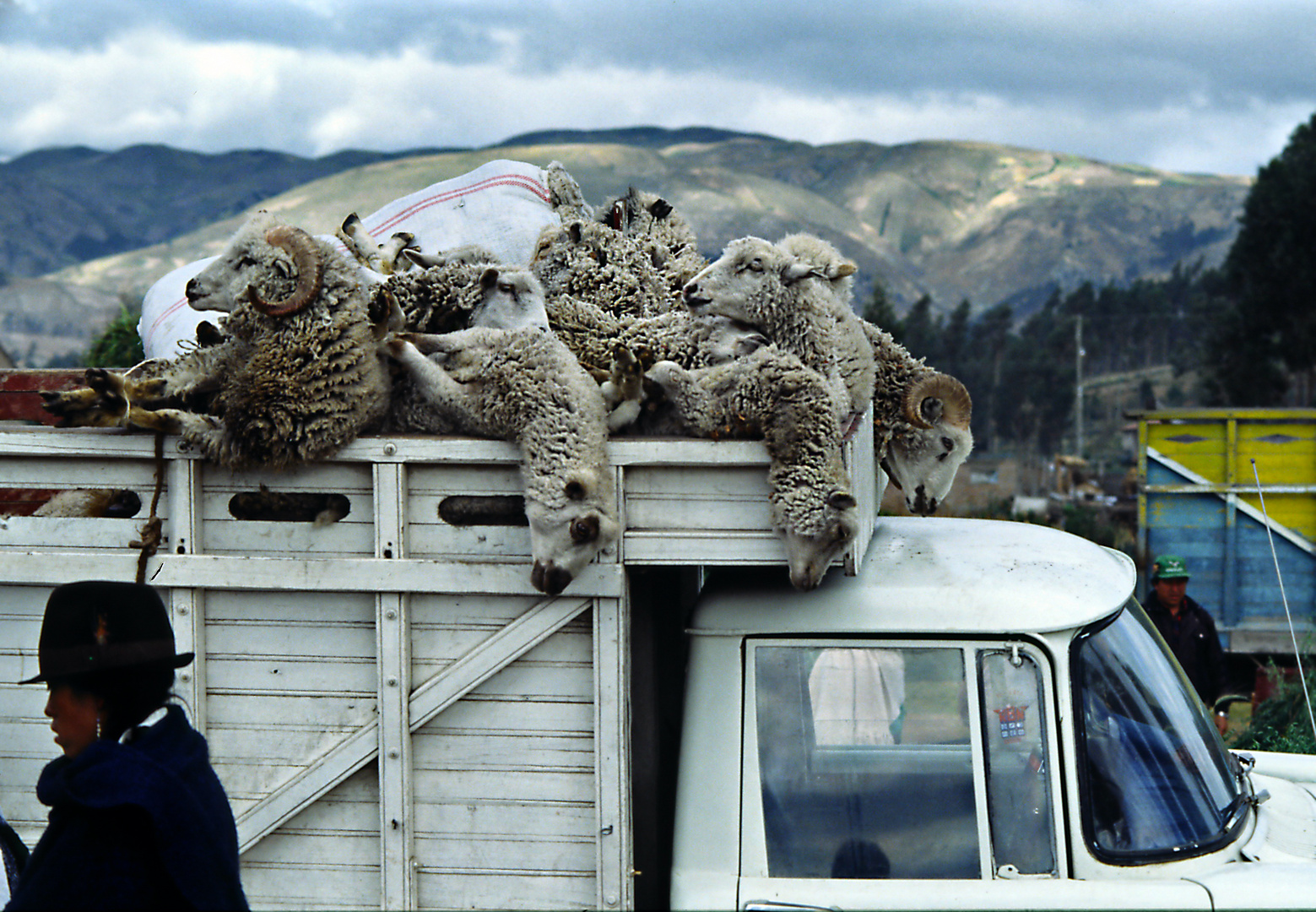 Viehmarkt in Otavalo 02