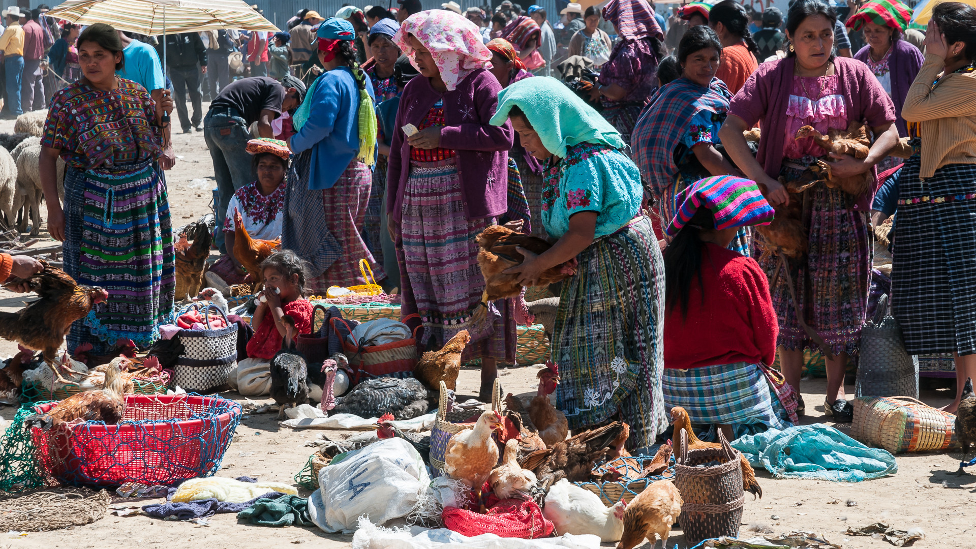 Viehmarkt in San Francisco el Alto (I) - Guatemala 