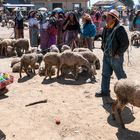 Viehmarkt in San Francisco el Alto (II) - Guatemala