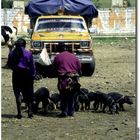 Viehmarkt in Sangolquí / Ecuador - 2