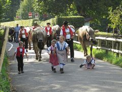 Viehschau St. Georgen 2012 / 5