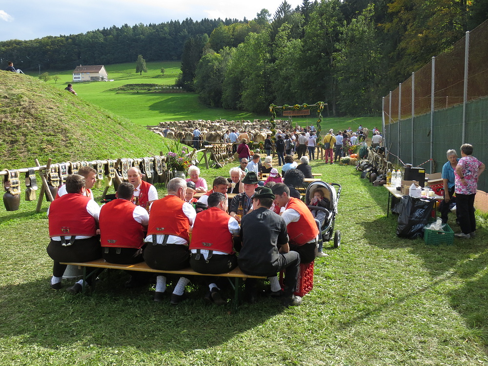 Viehschau St. Georgen 2012