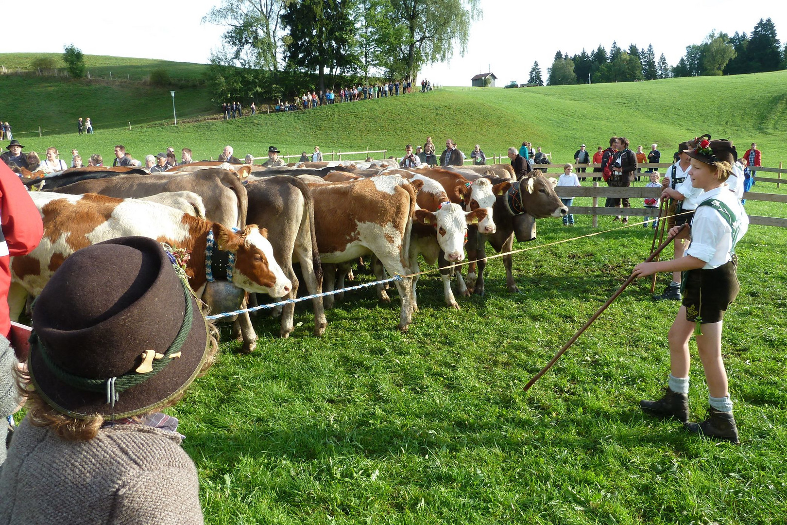 Viehscheid 2013 in Obermaiselstein - 2