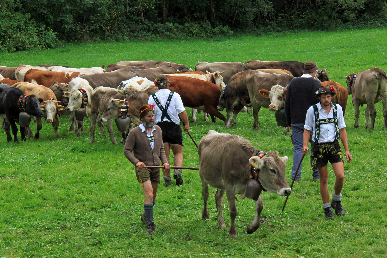 Viehscheid 2016 