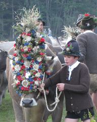 Viehscheid Hindelang