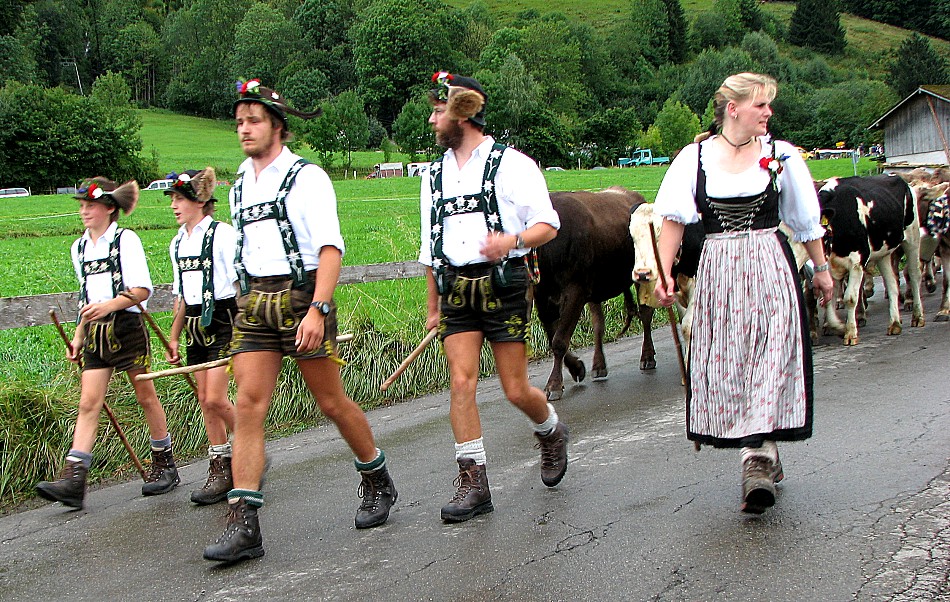 Viehscheid im Allgäu 1